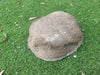 Partial Ash Rock Urn 1776 Natural Riversand