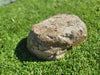 Partial Ash Rock Urn PA 1885 Natural Riversand