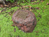 Memorial Rock Urn  2148 Regular Black